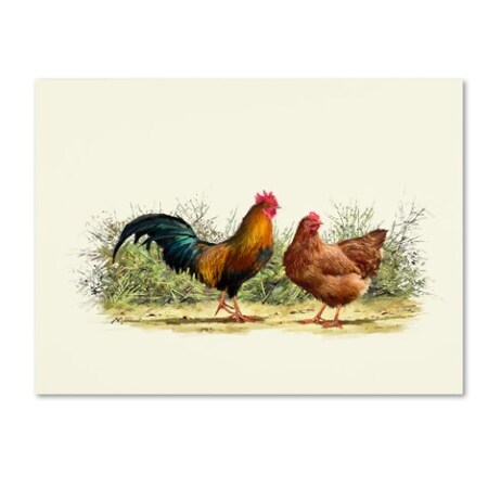 The Macneil Studio 'Cockerel And Hen Copy' Canvas Art,18x24